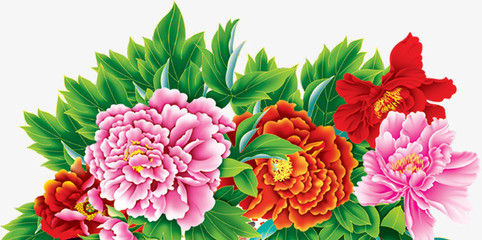 牡丹花開富貴圖 免費(fèi)高清PNG素材，點綴你的創(chuàng)意設(shè)計
