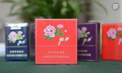 牡丹香韻 紅藍金紫間的審美對話